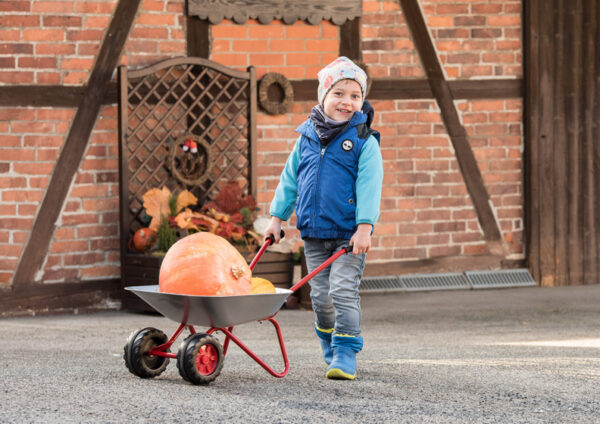 Brouettes Brouette en acier pour enfants avec 2 roues Gris - Rolly Toys – Image 8