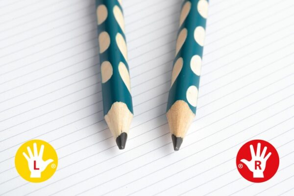 Godet x 36 STABILO EASYgraph HB – Image 5