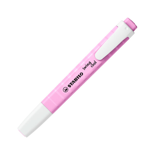 Blister x 2 STABILO swing cool Pastel - gris + mauve – Image 2