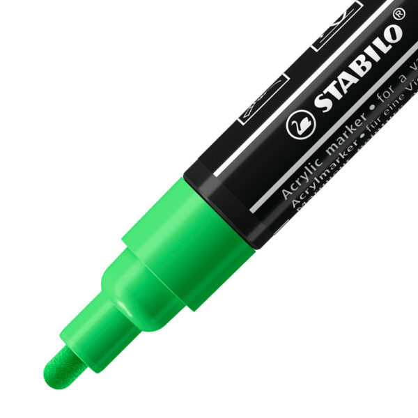STABILO FREE acrylic T300 - vert feuille - Carton de 5 pièces – Image 2