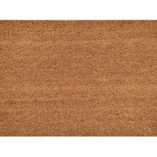 Paillasson en noix de coco, paillasson anti-salissure uni pour porte d'entrée, 3 couleurs