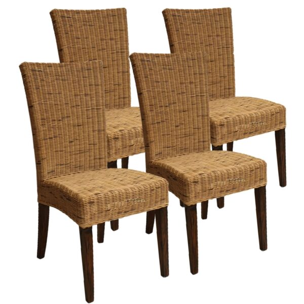 Chaises de salle à manger chaises en rotin chaises de table à manger jardin d'hiver Cardine 4 pièces chaises cabana en osier