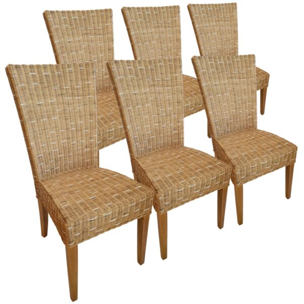 Chaises de salle à manger chaises en rotin chaises de jardin d'hiver en osier Cardine 6 pièces cappuccino