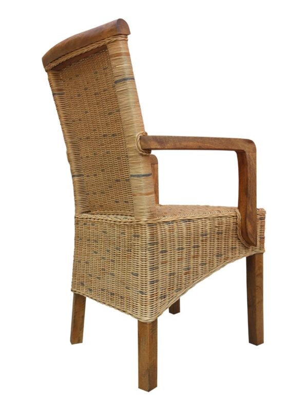 Chaises en rotin lot de 4 chaises de salle à manger avec accoudoirs tabac Perth chaise en osier fauteuil en rotin – Image 5