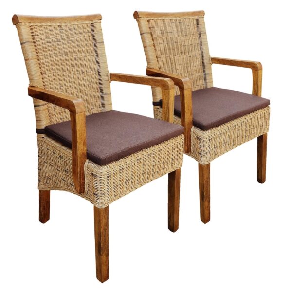 Chaises de salle à manger lot de 2 chaise en rotin avec accoudoirs tabac Perth chaise en osier fauteuil en rotin