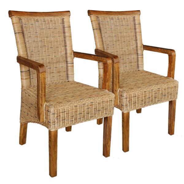 Chaises de salle à manger lot de 2 chaise en rotin avec accoudoirs tabac Perth chaise en osier fauteuil en rotin