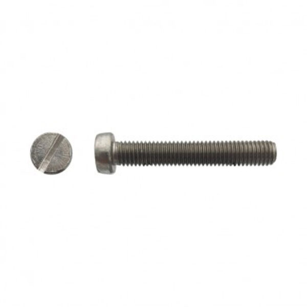 Vis à métaux tête cylindrique fendue Inox A2 - 6 x 100 mm- Vendu par 100