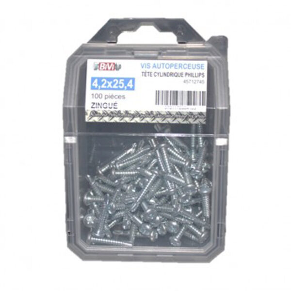 Vis autoperceuse tête cylindrique empreinte Phillips® Zingué - 4,8 x 19 mm - Coque de 100 pièces- Vendu par 4
