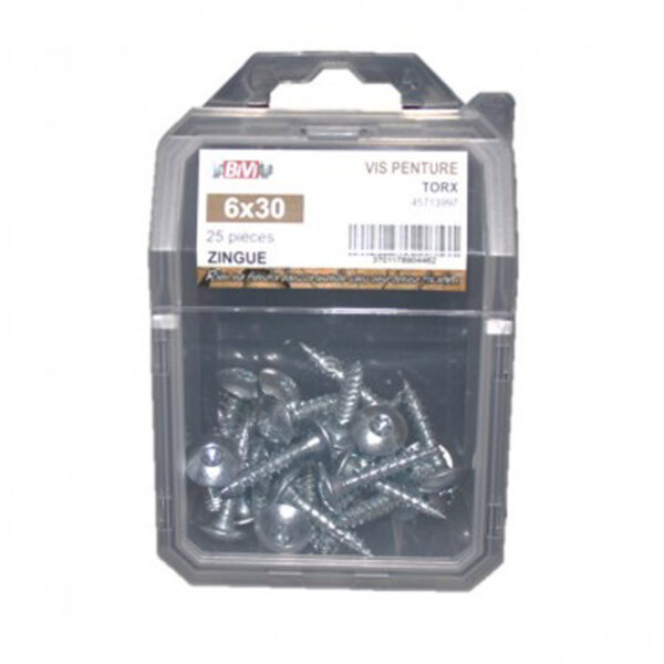 Vis pour penture Torx® Zingué bichromaté - Coque de 25 pièces - 7 x 60 mm- Vendu par 4