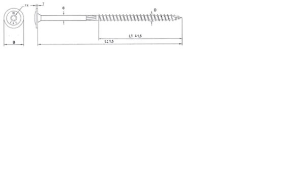Vis pour construction bois tête ronde large Torx® Zingué - 8 x 140 mm- Vendu par 50 – Image 2