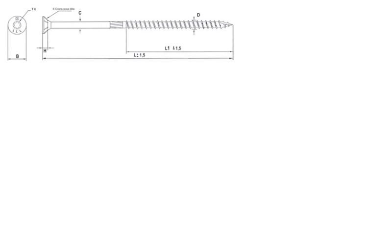 Vis pour construction bois tête fraisante Torx® Zingué - 6 x 200 mm- Vendu par 100 – Image 2