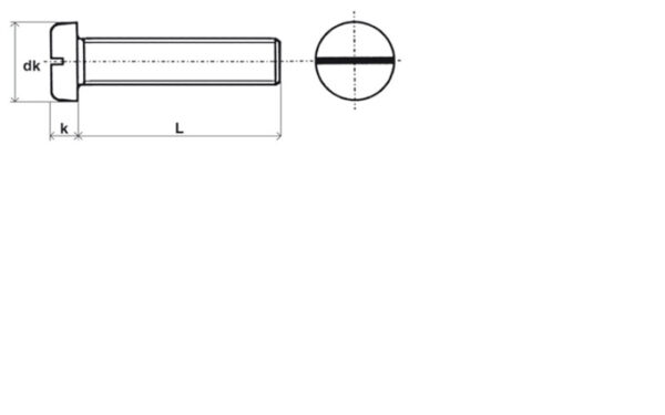 Vis à métaux tête cylindrique fendue PA 6,6 naturel - 6 x 16 mm- Vendu par 200 – Image 2