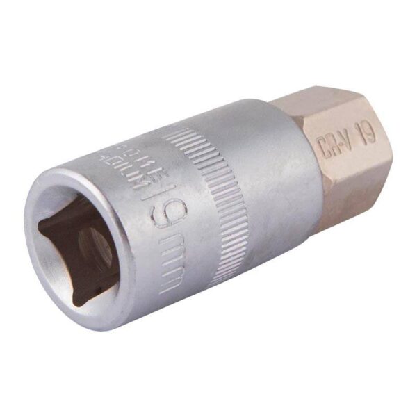 Embout court 1/2" h19 55mm- OS 1144BL - CLAS Equipements – Image 2