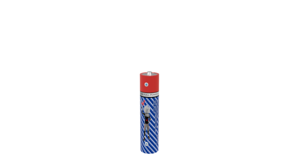 Lot de 32 PiLes LR03 AAA - W