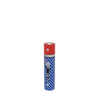 Lot de 16 PiLes LR03 AAA - W