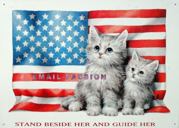 Plaque métal publicitaire 30x40cm plate : Chatons U.S. – Image 2