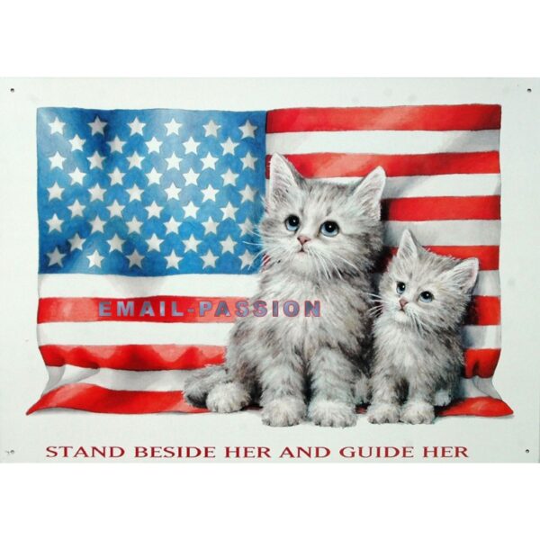 Plaque métal publicitaire 30x40cm plate : Chatons U.S.