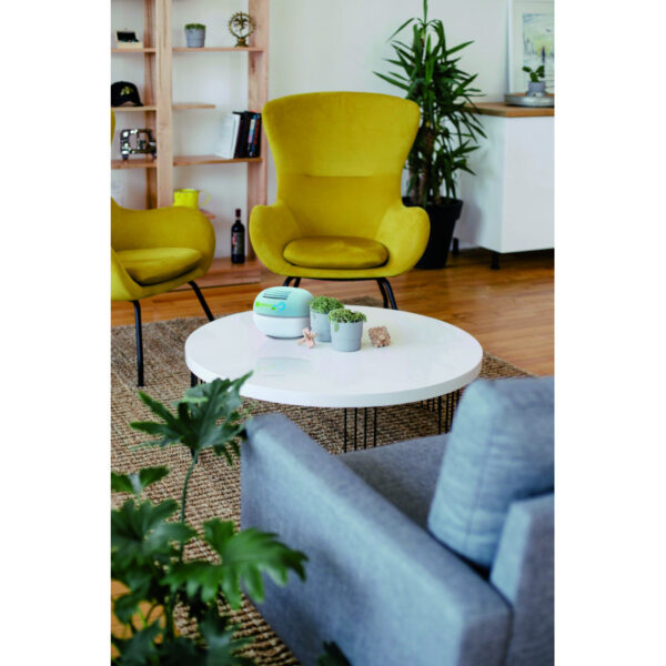 KIT 1 BISE – Image 6