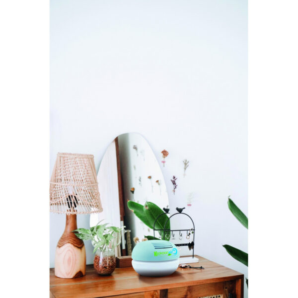 KIT 1 BISE – Image 7