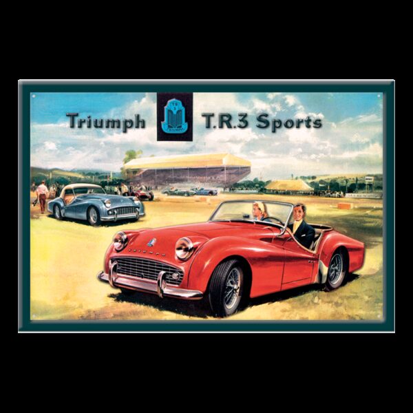 plaque métal publicitaire 20x30cm relief : TRIUMPH TR3