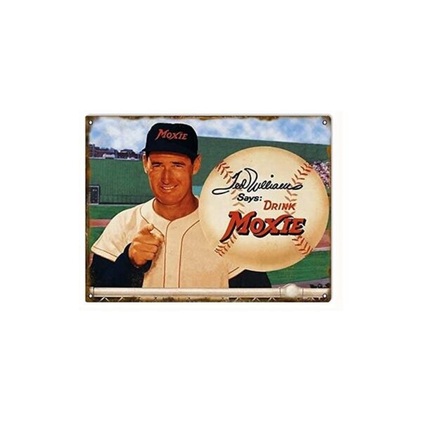 Plaque métal publicitaire 30x40cm plate : Ted Williams