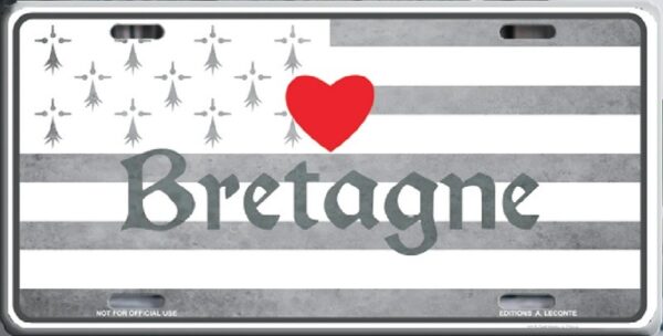 plaque métal décorative relief 30 x 15 cm : DRAPEAU BRETON – Image 2