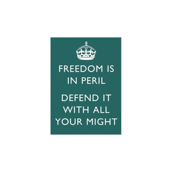 Plaque métal décorative 40 x 30 cm plate : FREEDOM IS IN PERIL