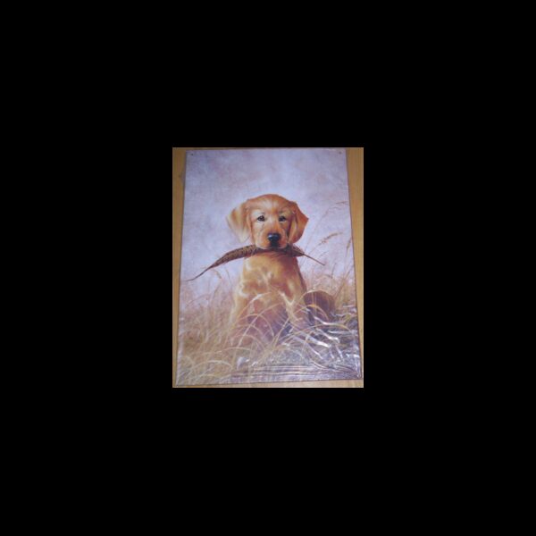 Plaque métal décorative 40 x 30 cm plate : LR KAATZ GOLDEN