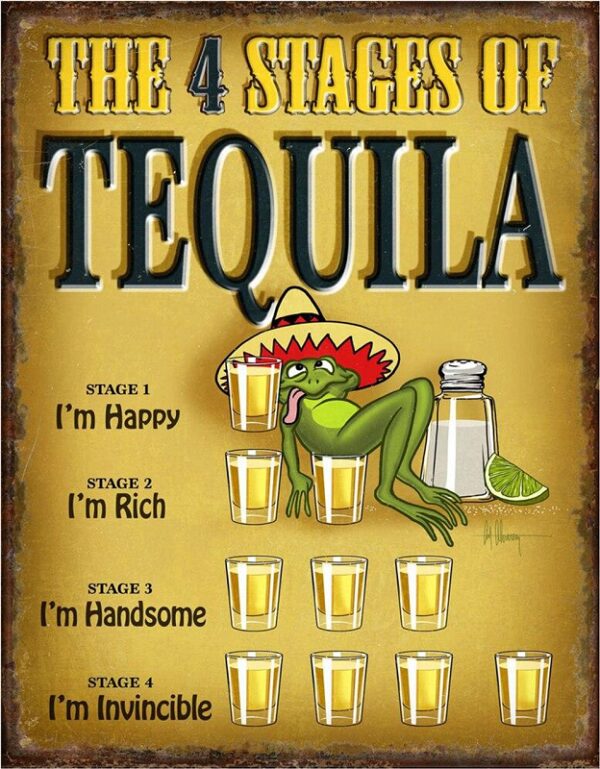 Plaque métal publicitaire 30x40cm plate : Tequila - 4 Stages – Image 2