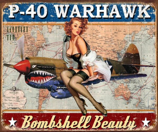 Plaque métal publicitaire 30x40cm plate : P-40 Warhawk – Image 2