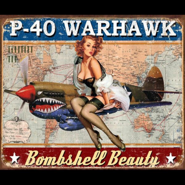 Plaque métal publicitaire 30x40cm plate : P-40 Warhawk