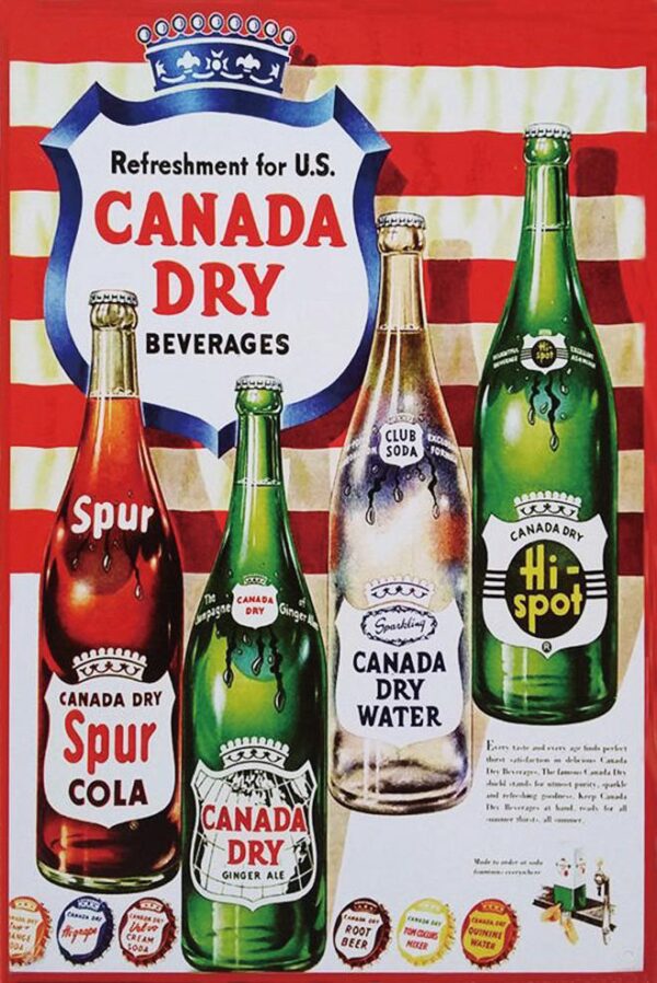 Plaque métal plate 20 x 30 cm : CANADA DRY – Image 2