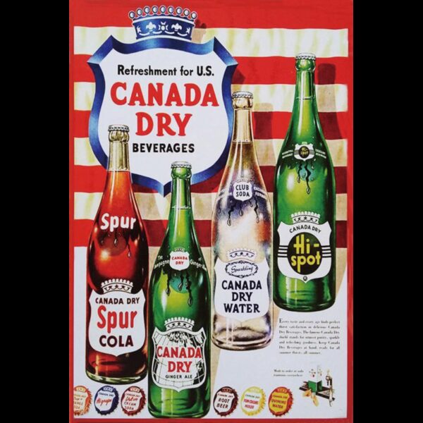 Plaque métal plate 20 x 30 cm : CANADA DRY