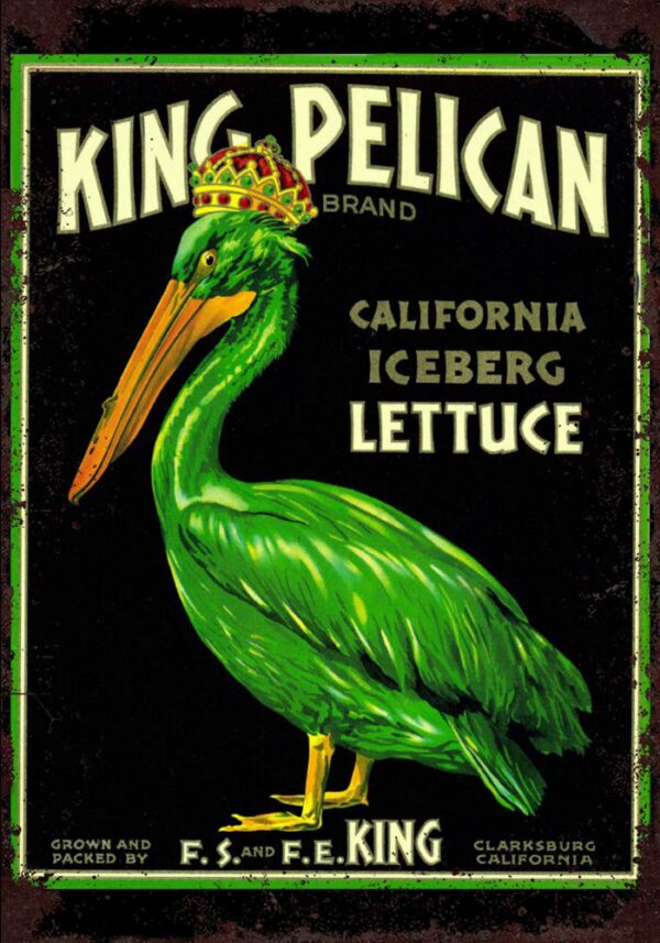 Plaque métal plate 20 x 30 cm : King Pelican – Image 2