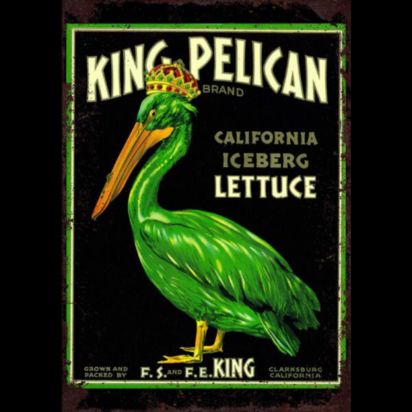 Plaque métal plate 20 x 30 cm : King Pelican
