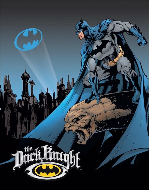 Plaque métal plate 30 x 40 cm : Batman - The Dark Knight – Image 2