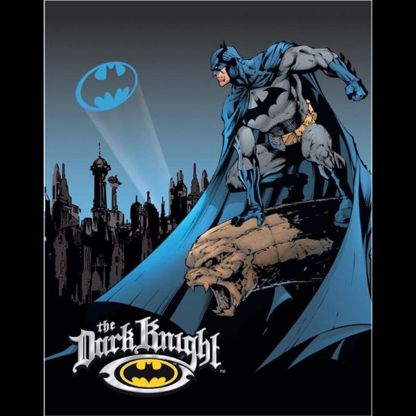 Plaque métal plate 30 x 40 cm : Batman - The Dark Knight
