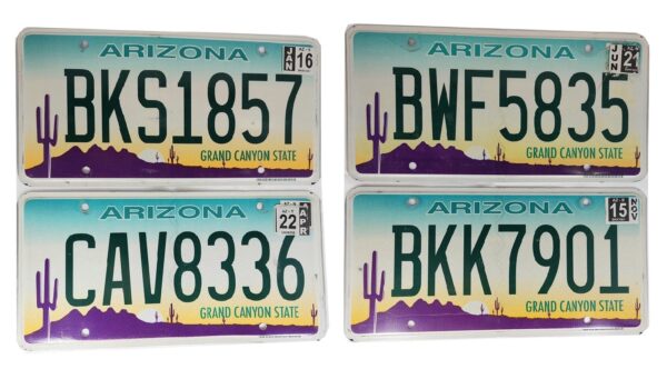 ARIZONA : Plaque immatriculation US 30x15cm plate – Image 2