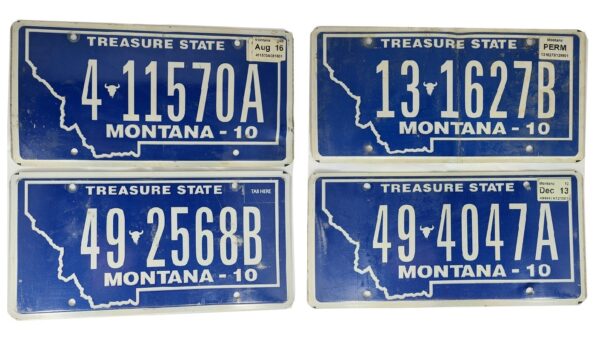MONTANA (V3) : Plaque immatriculation US 30x15cm plate – Image 2