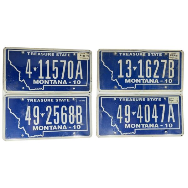 MONTANA (V3) : Plaque immatriculation US 30x15cm plate