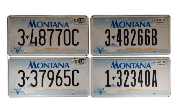 MONTANA (V1) : Plaque immatriculation US 30x15cm plate – Image 2