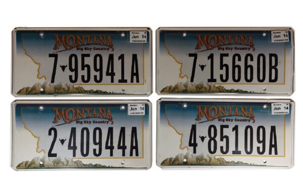 MONTANA (V2) : Plaque immatriculation US 30x15cm plate – Image 2