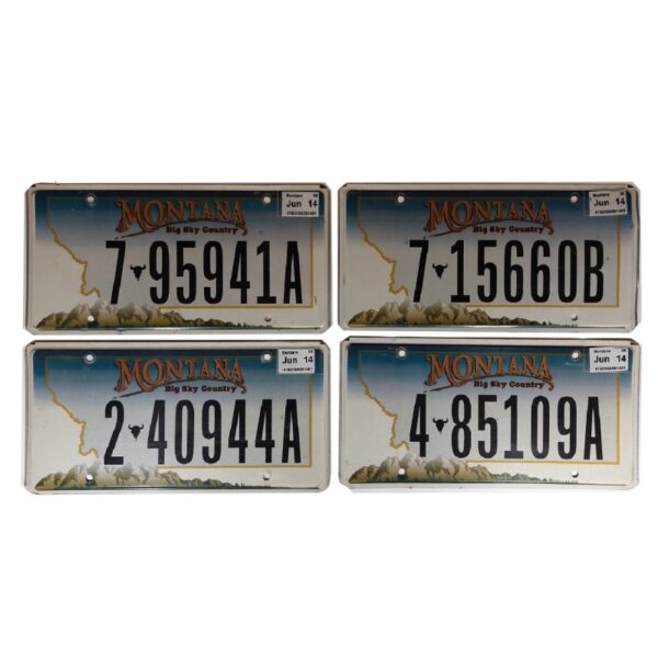 MONTANA (V2) : Plaque immatriculation US 30x15cm plate