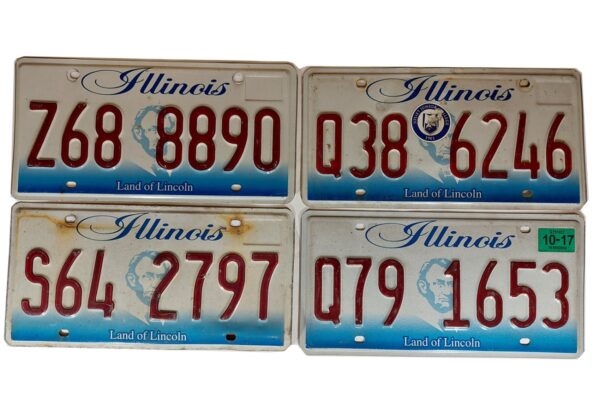 ILLINOIS (V1) : Plaque immatriculation US 30x15cm plate relief – Image 2