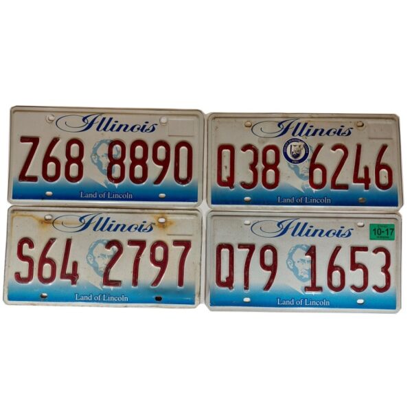 ILLINOIS (V1) : Plaque immatriculation US 30x15cm plate relief