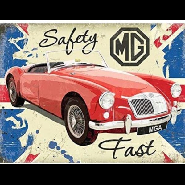 Plaque métal plate 20 x 30 cm : MG Safety Fast