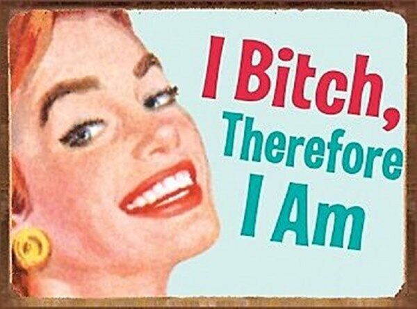Plaque métal décorative 41 x 30 cm plate : I Bitch, Therefore I Am – Image 2