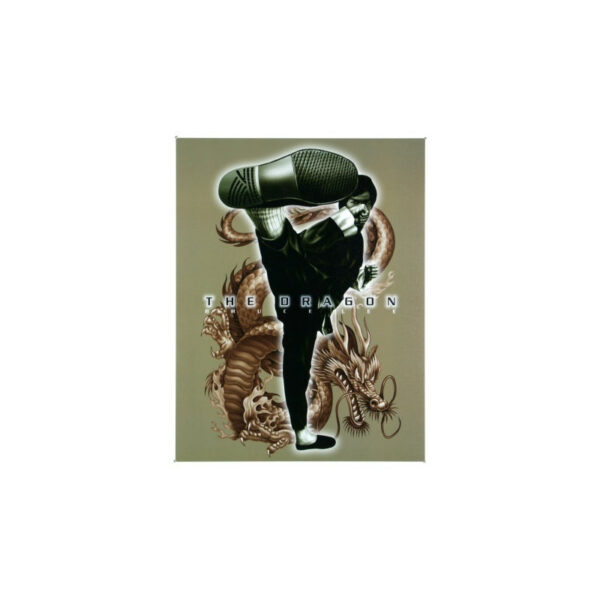 Plaque métal vintage 30 x 40 cm : Bruce Lee The Dragon
