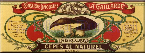 Plaque métal publicitaire 17,5x45cm plate : CÈPES AU NATUREL – Image 2