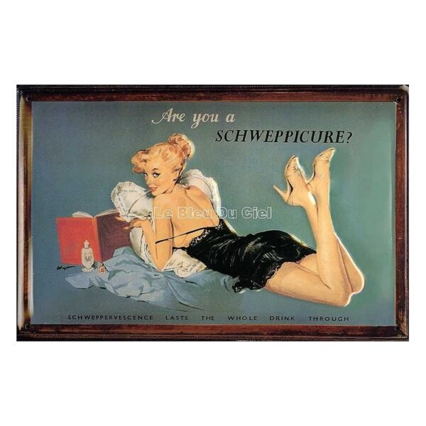 Plaque métal publicitaire 20x30cm bombée en relief : Are You a Schweppicure ?